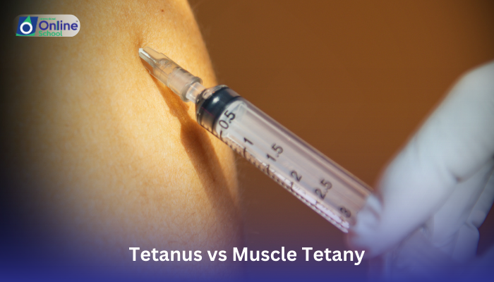 Lesson 14: Tetanus vs. Muscle Tetany